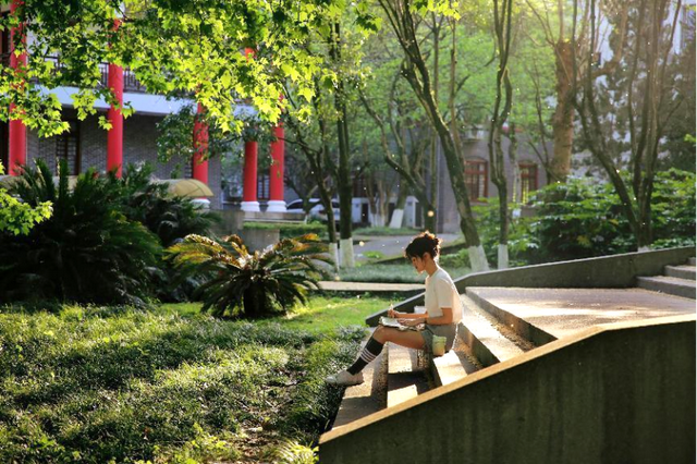 四川农业大学在全国是什么水平，占地约4500亩