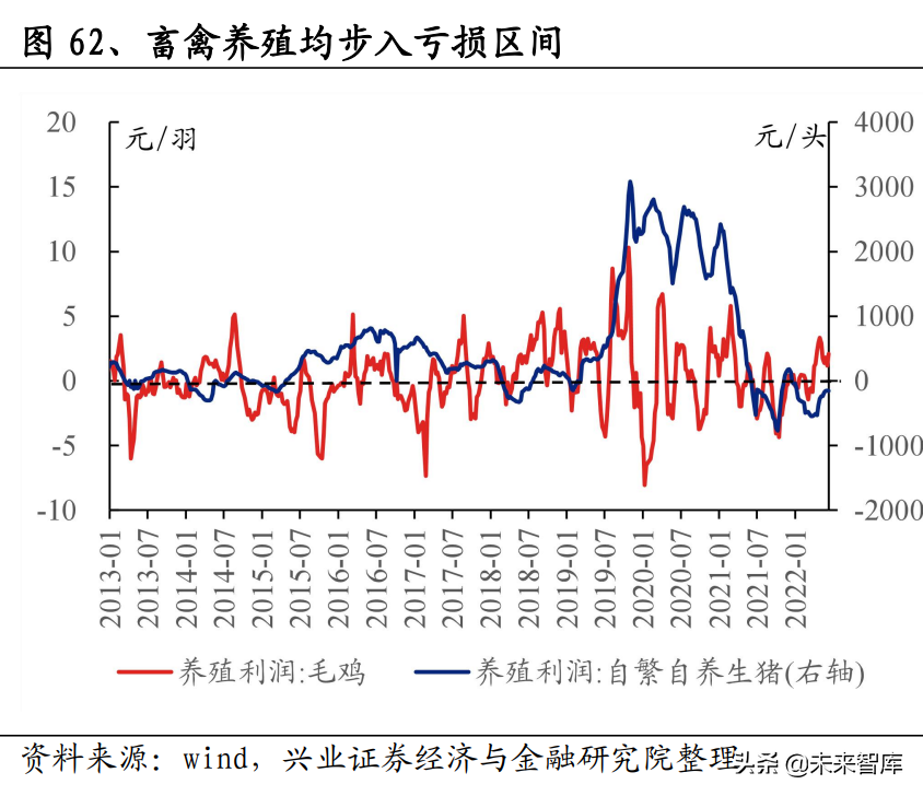 吉斯本（农业专题）