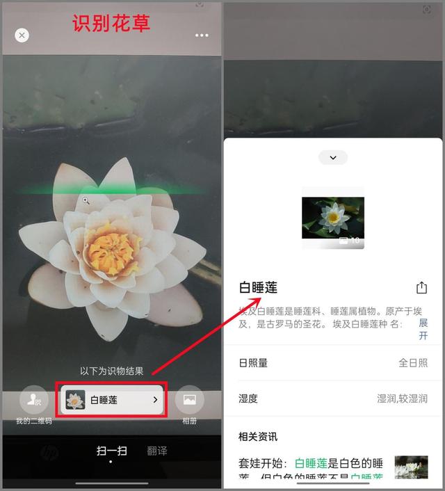 微信“扫一扫”竟隐藏着这么多玩法，果然是一款“扫描仪”