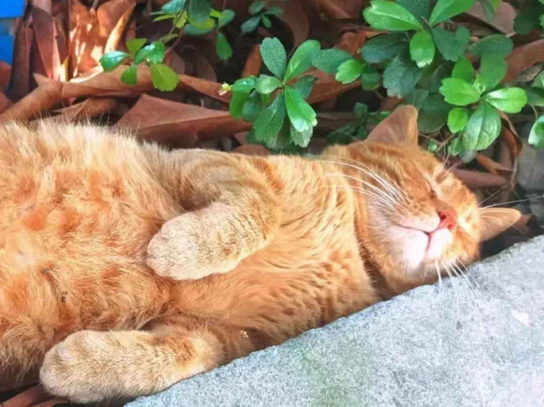 广州铁路学校（广州铁路职业技术学院）