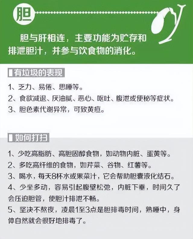 五脏六腑指的是什么，五脏六腑指什么部位（五脏六腑信号一览表）