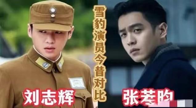 雪豹萧雅扮演者，雪豹萧雅扮演者是谁（12年后再看《雪豹》）