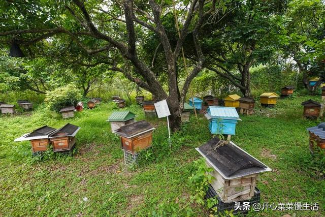 土特产店名，土特产店名一般叫什么（偶遇广东揭西县两位牛人）