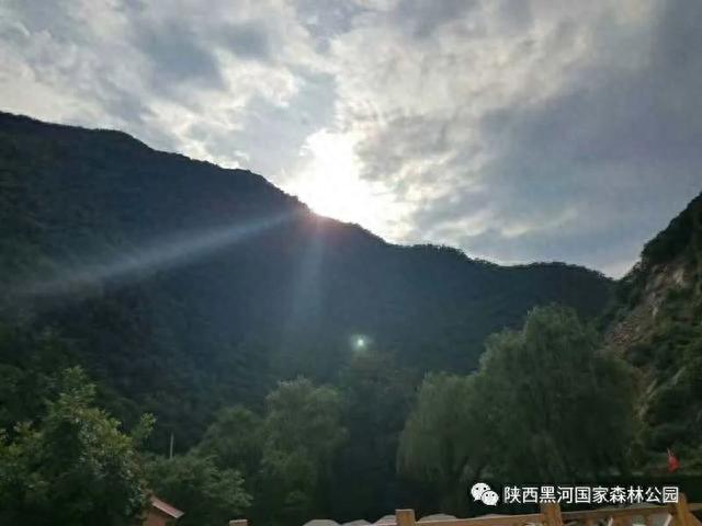 来黑河森林公园，和夏天“和解”吧！
