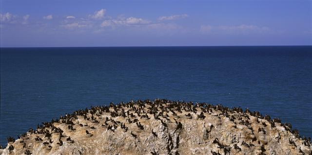 青海湖几月份去合适，青海湖什么时候去玩比较好（你知道什么时候去最合适吗）