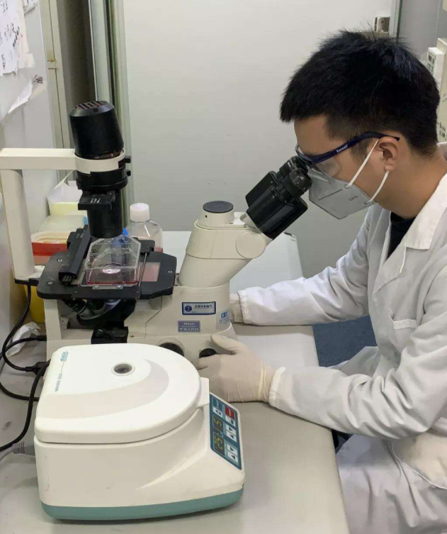 考研需要英语过四级吗，考研必须英语过四级吗（英语四级成考研路上的阻碍）