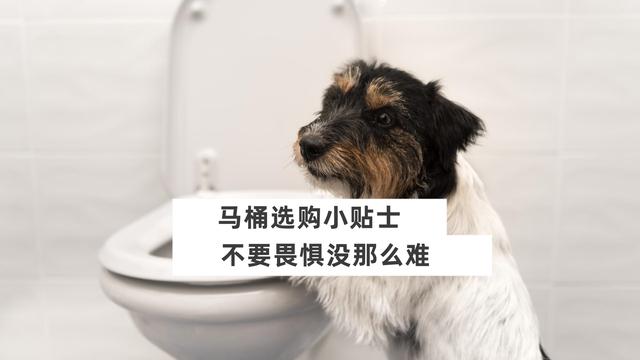 马桶要怎么选购 马桶5个选购要点，马桶要怎么选购（认准“5选5不选”就够了）