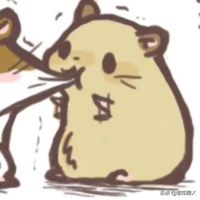 抱猫的女生头像，乔：可爱抱猫女头 人刚认识的时候总是拘谨中带着温柔微信（有趣可爱的情侣头像啊）