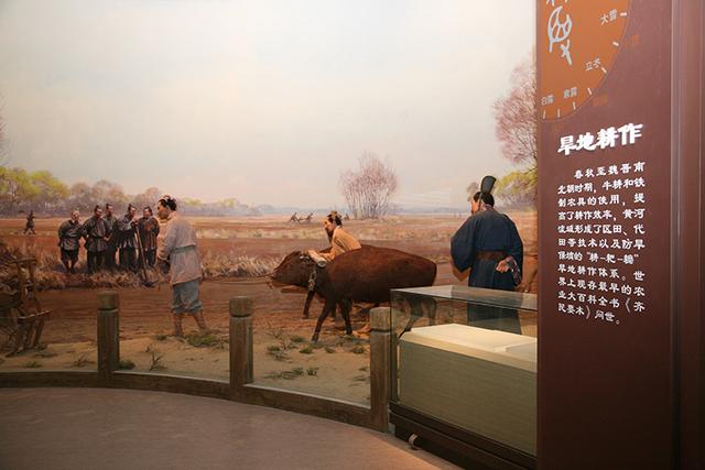 中国自然博物馆，北京自然博物馆都有哪些（北京9个比较有意思的博物馆）