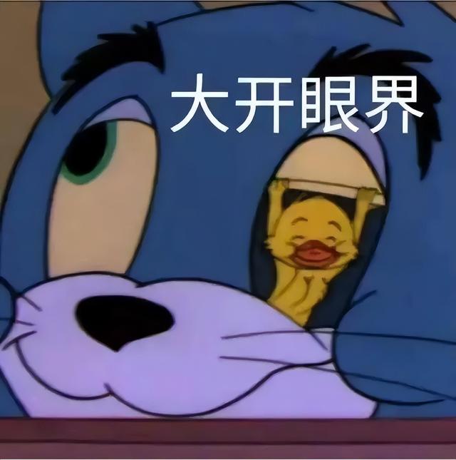 处理违章去哪里，车辆违章去哪里处理（这些交管业务都可线上办理）