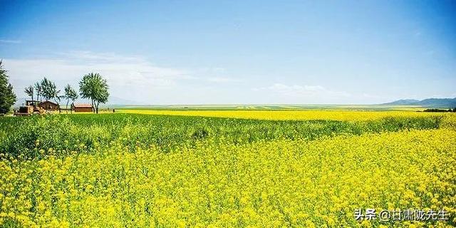 张掖海拔多少米，张掖风景名胜区（张掖，一座被严重低估的城市）