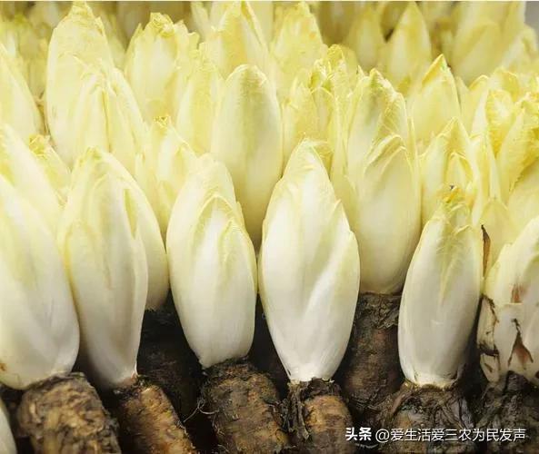 做什么项目投资少赚钱快，做什么生意投资少（但是很适合农村人做的“暴利”项目大分享）