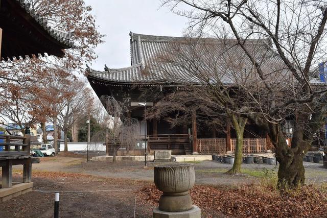 外出旅游住民宿是一种什么体验，出门旅游住民宿安全吗（住过青旅民宿豪华酒店）