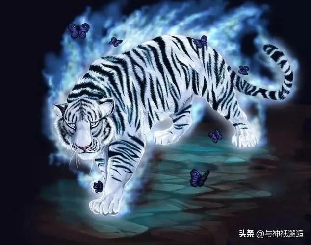 今年是壬寅虎年(中国神话中有哪些威武的虎神) - 龙腾网