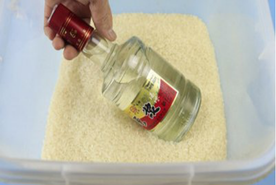 大米生虫子处理小诀窍，大米生虫子处理诀窍有哪些（米农教你3招）