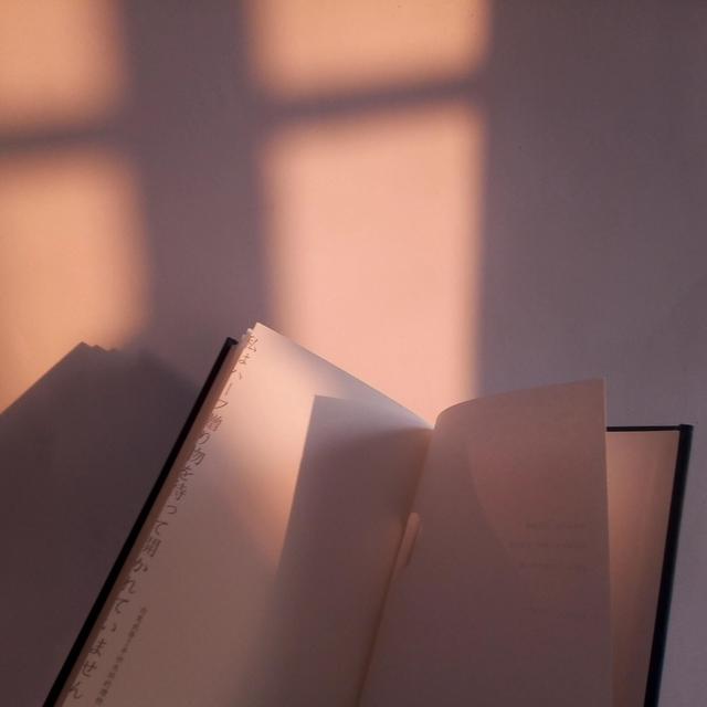 日落在爱情里的寓意，黄昏在爱情里代表什么（再见和日落的寓意都是未完待续）