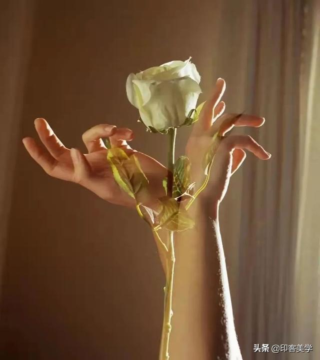 夏家三千金大结局，夏家三千金80集电视剧（为什么总是强行大团圆）