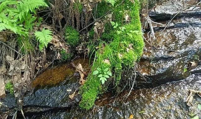 密云旅游景点大全排名，北京郊区好玩的地方（可游山玩水戏瀑布~）