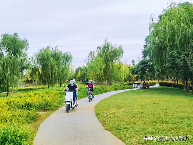 郑州龙湖湿地公园现状分析，河南郑州龙湖湿地公园秋色初露