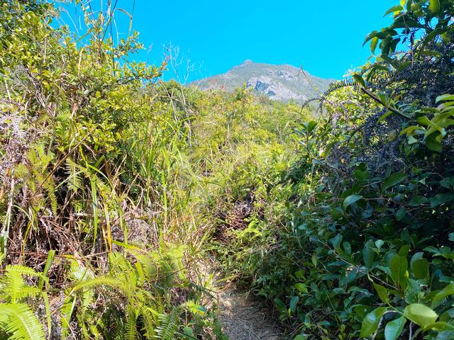 深圳七娘山登山攻略，深圳七娘山登山需要多长时间（相约深圳第二峰——七娘山）