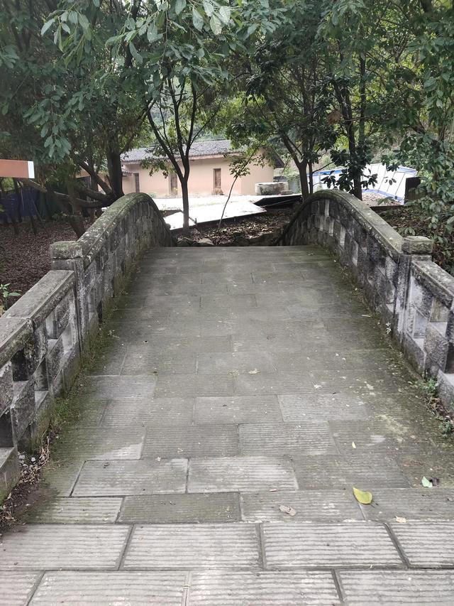 歌乐山森林公园，重庆旅游必去景点（歌乐山国家森林公园）