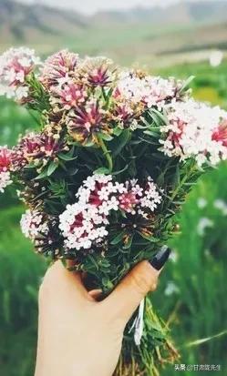 张掖海拔多少米，张掖风景名胜区（张掖，一座被严重低估的城市）