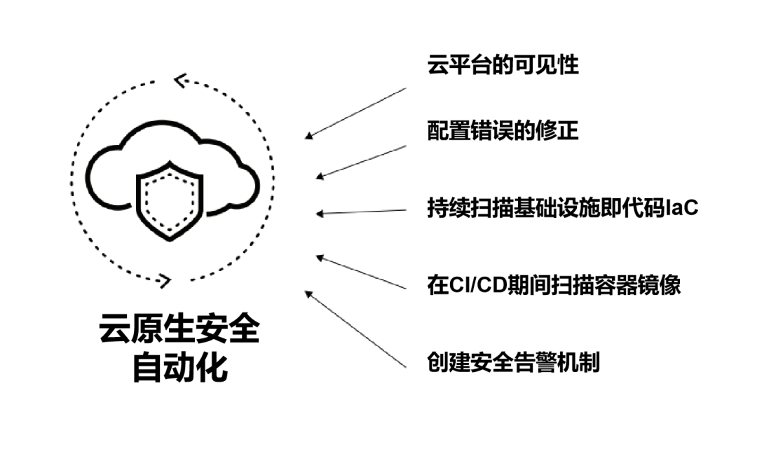 青藤云安全（100）