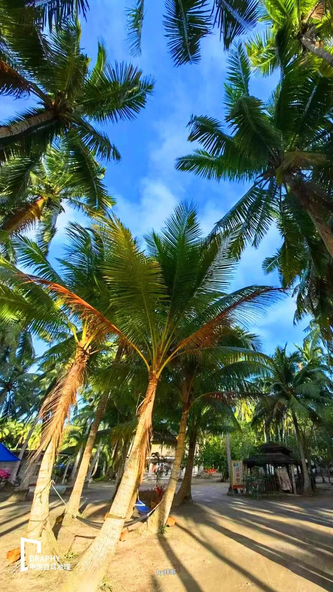 海南旅游攻略（带你发现更多冷门且值得去的好地方）