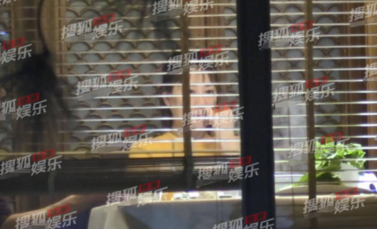 张卫健老婆近照发福变化大，把猫当儿子生活惬意，久居内地住豪宅