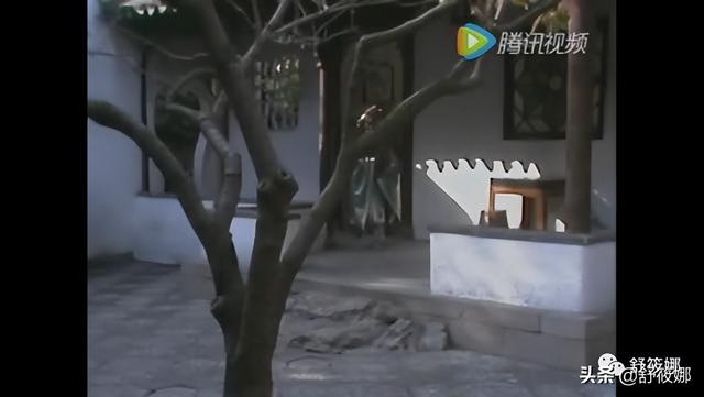 狮子林简介，狮子林简介和历史（苏州园林-狮子林）