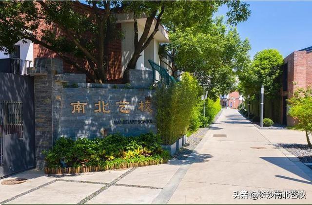 长沙培训机构排名前十，长沙艺考培训机构排名前十最新2022（长沙实力比较强的画室有哪些）