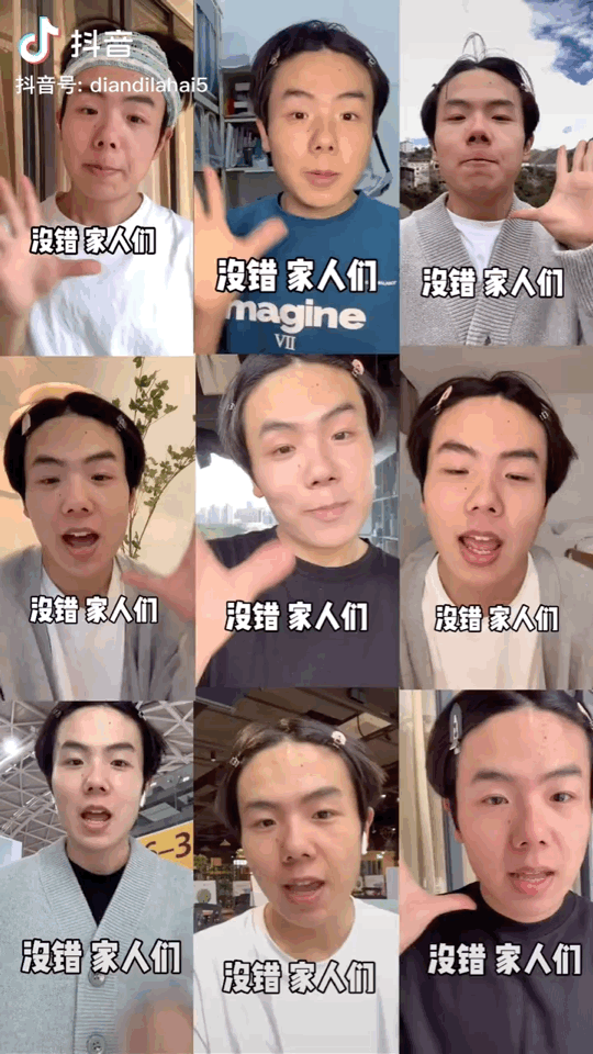 扑棱蛾子是什么梗，扑棱蛾子是什么梗贝斯（听说他换头是靠p的）