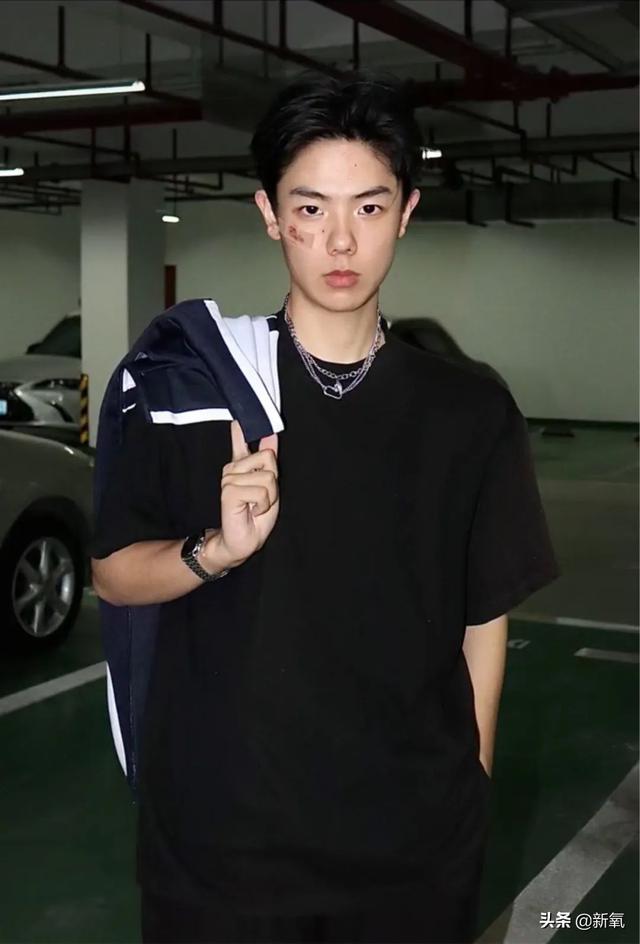 扑棱蛾子是什么梗，扑棱蛾子是什么梗贝斯（听说他换头是靠p的）