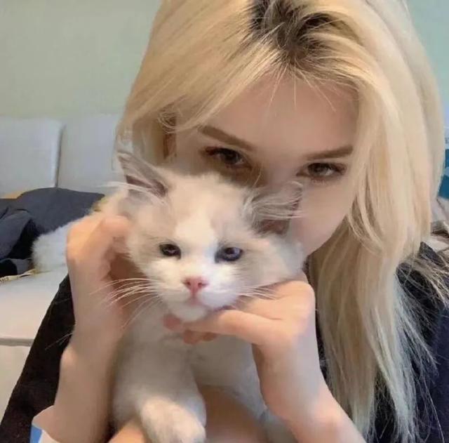 猫系女孩，微信头像，猫系女孩（女生头像：抱猫头像）
