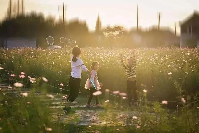太仓是哪个省的城市，太仓在哪里属于哪个省（低调内敛的小城——江南的另一张面孔）