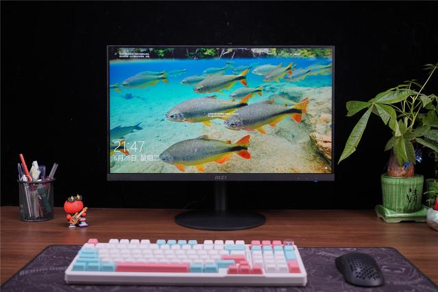 电脑一体机好不好，电脑一体机的优缺点（也有高能力——微星PROAP241一体机使用分享）