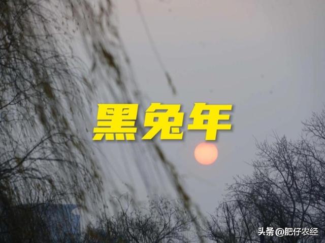 2022年属蛇人永远最旺的颜色，生肖属蛇的幸运颜色（也被称为黑兔年）