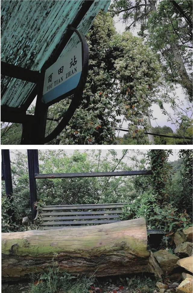 微信读书无限卡，如何免费领取微信读书无限卡（微信读书时长1000+推荐书籍）