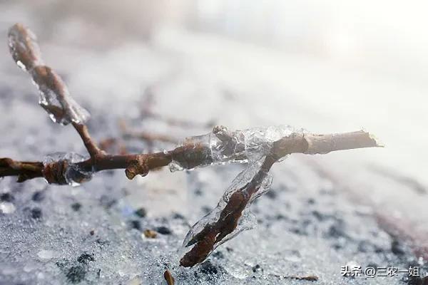 下雨的农谚或俗语，关于下雨的农谚或俗语有哪些（“最怕正月二十淋”）