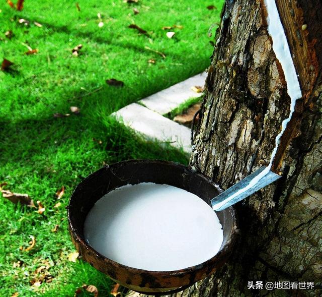 印度尼西亚是发达国家吗，泰国,日本,巴基斯坦,印度尼西亚这几个国家都是（<印太经济框架>）