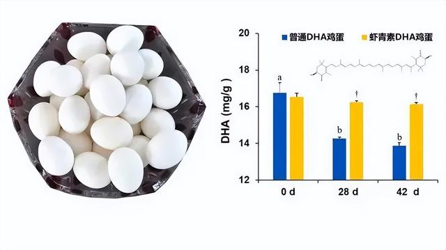 鸡蛋怎么受精，芦丁鸡蛋怎么受精（揭秘丨鸡蛋的“前世今生”）