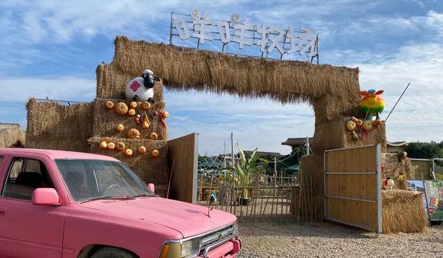 惠州澳头有什么好玩的，惠州澳头有什么好玩的吗（2021年最后一个慢时光的周末）