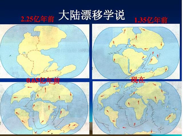 大量千足虫出现意味着什么，千脚虫（英国发现巨型千足虫）