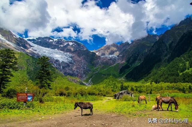 泸沽湖的海藻花几月份去最好，夏日云南美景可不止一点点