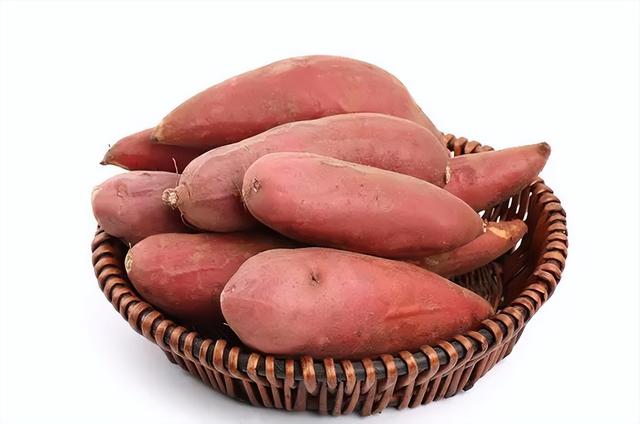 宠物狗狗能吃蔬菜吗，狗狗可以吃蔬菜嘛（适合狗狗吃的六种蔬菜）