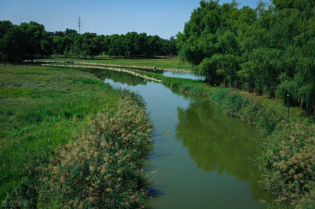 北京湿地公园有哪些景点好玩，北京公园推荐︱10个值得一去的免费公园