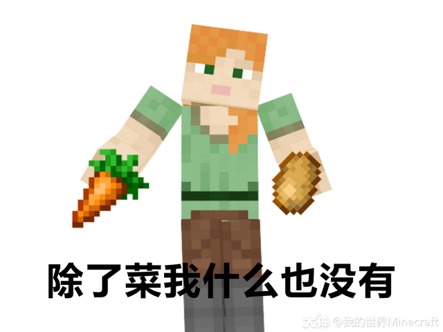 我的世界怎么做电梯，我的世界电梯教程（在是一种怎样的体验）
