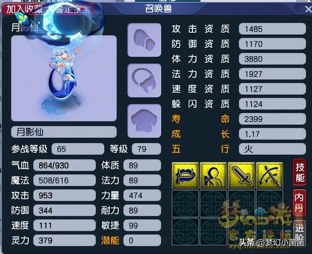 梦幻西游新手专区，梦幻西游全部新手攻略（梦幻西游全方位指引新手入门攻略）