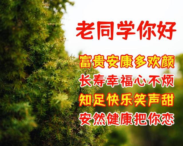 蛇年春节送同学朋友的祝福语,送同学的新年祝福(祝福老同学的漂亮图片
