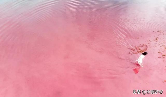 抚仙湖要门票吗，抚仙湖攻略一日游（挖到李健超爱的神仙小城）